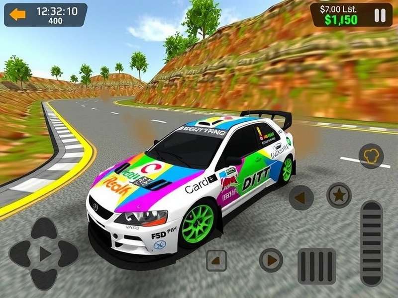 RSR Rally Car Customization Options